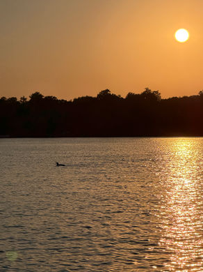 Designed for Lake Life