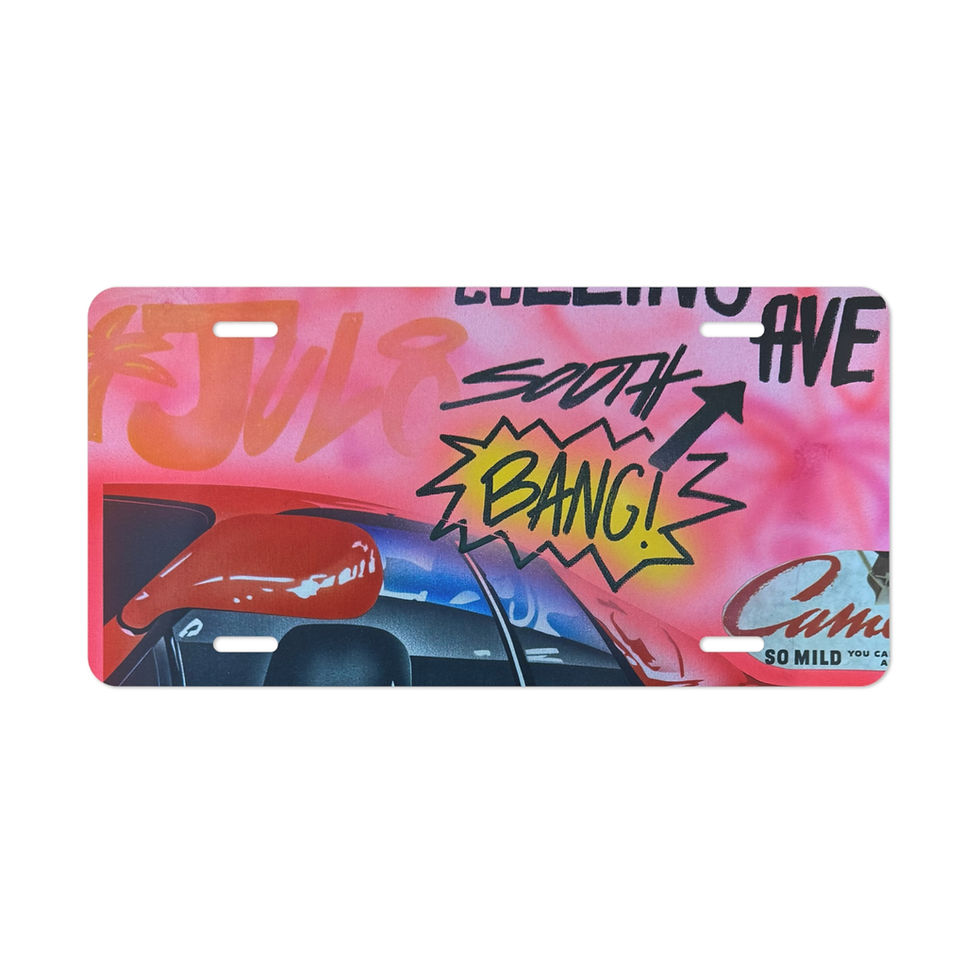 "miami momentos" airbrush license plate