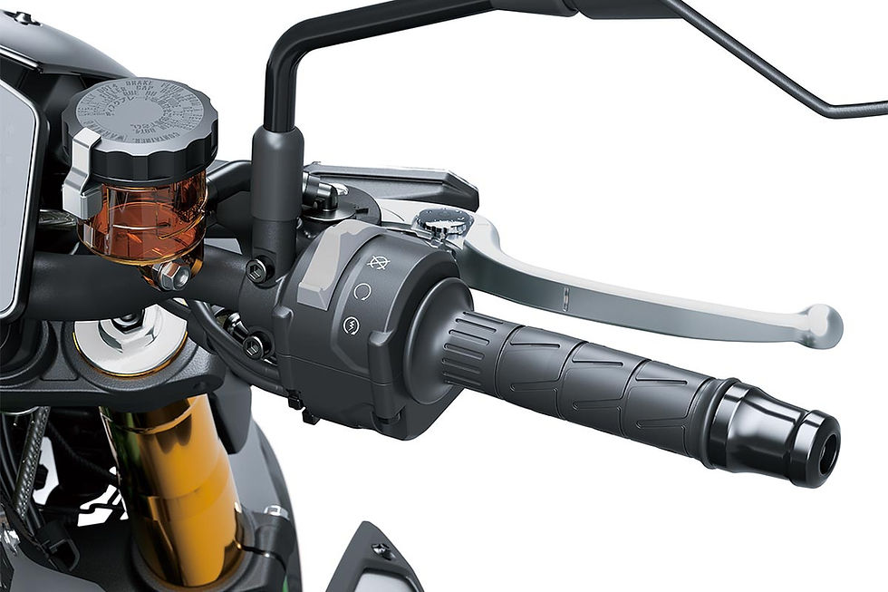 Thumbnail: 2025 KAWASAKI Z900 SE