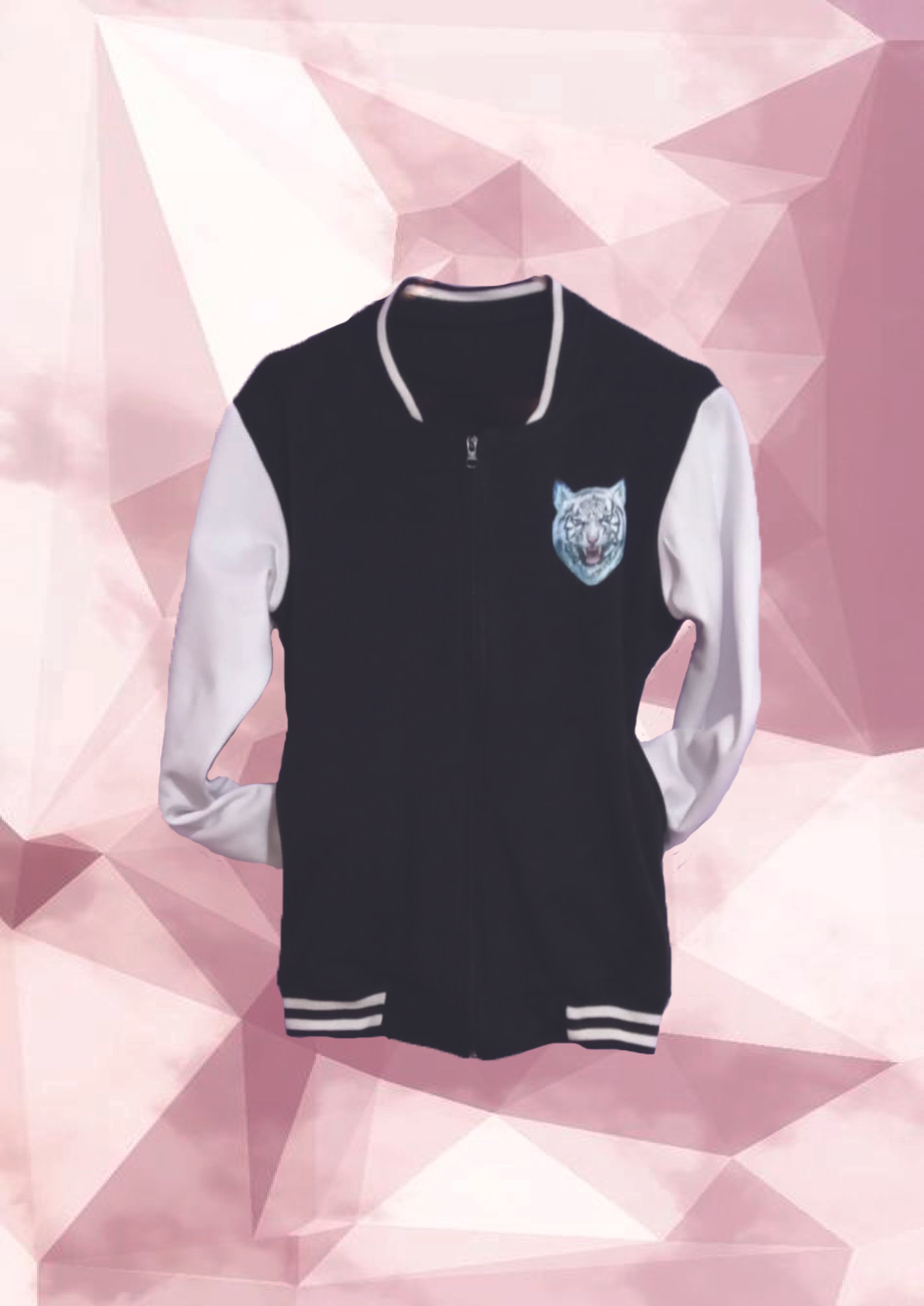 Chompa Bomber