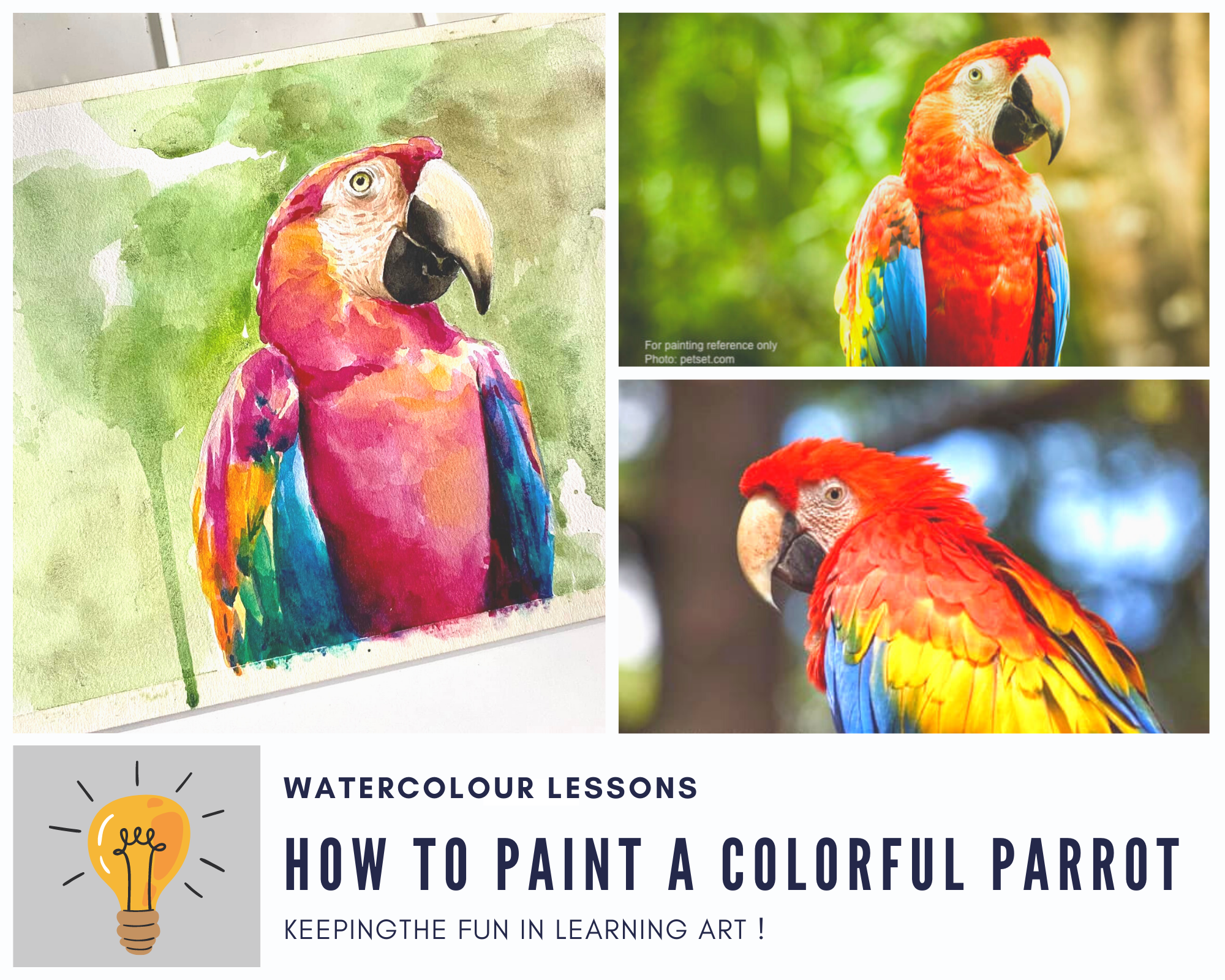 How to Paint a Colourful Parrot