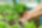shutterstock_509214613.jpg