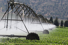 irrigation-6986021_1920.jpg