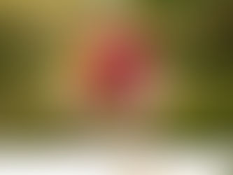 Unique Flower Bouquet-add on for your senior shoot