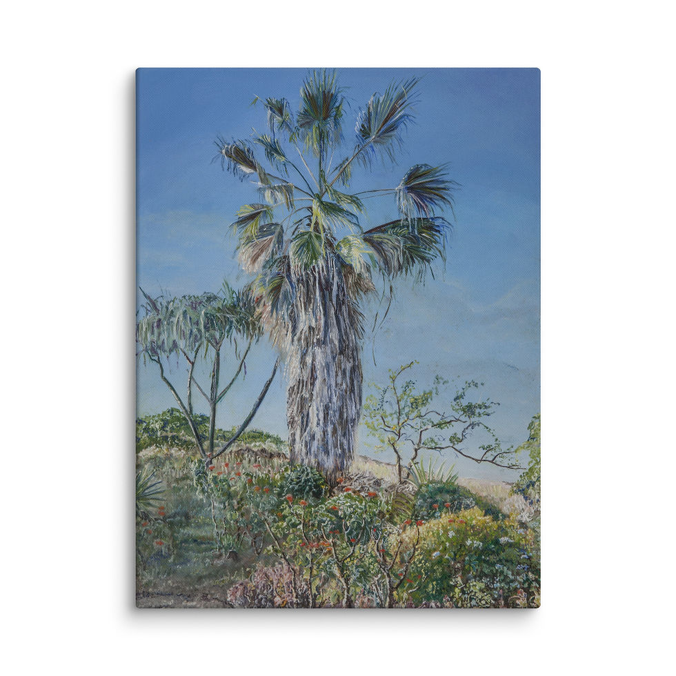 Thumbnail: Portrait of a Giant --Washingtonia filifera  [canvas]