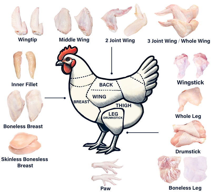 Chicken products anatomy complete_edited.jpg