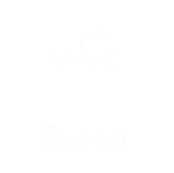 Logos de empresas parceiras da Casula Assessoria: Adidas, Bradesco, GSK, Renault, Brasil Cacau, Mustela, Faber-Castell, Sebra