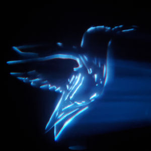 Gobo