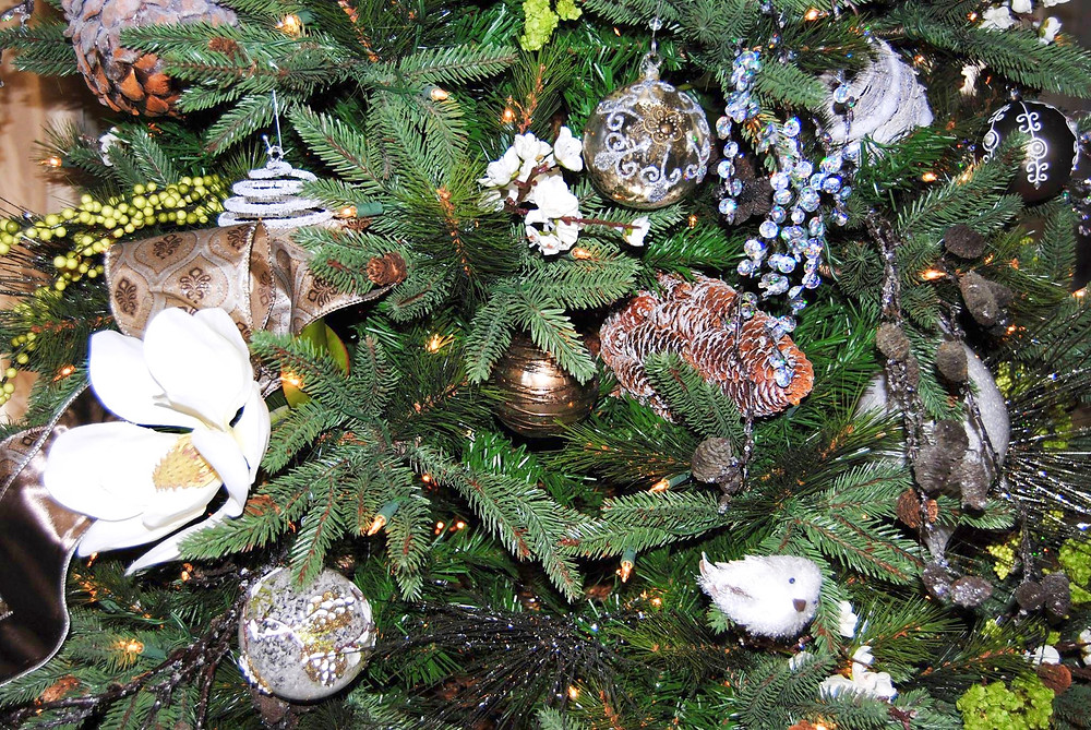 beautiful Christmas trees