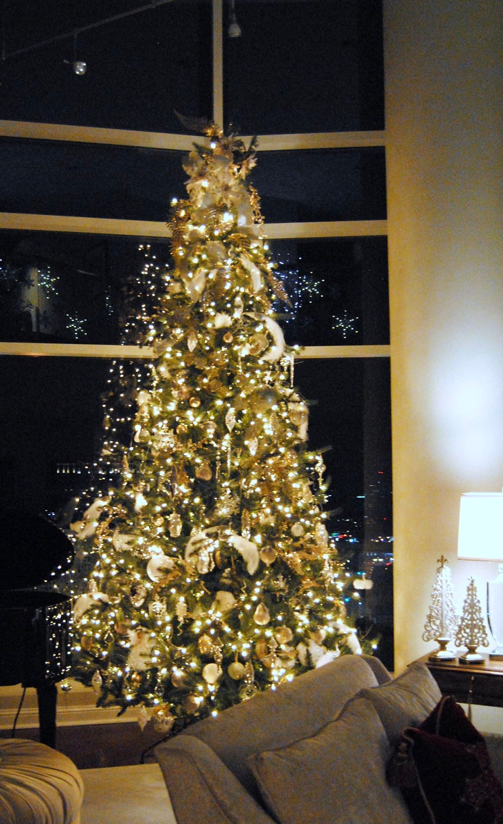 Holiday lights