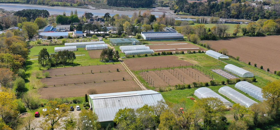 Vue aérienne de la station. Crédit photo : Lemon Prod