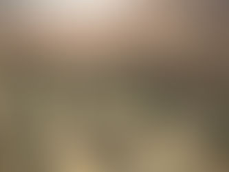 ILGORA : UN THÉ QUI S’ANCRE DANS LE TERROIR DU PAYS BASQUE