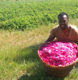 Crédit photo : Les Thés de Nono