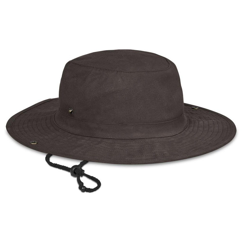Brown Hat