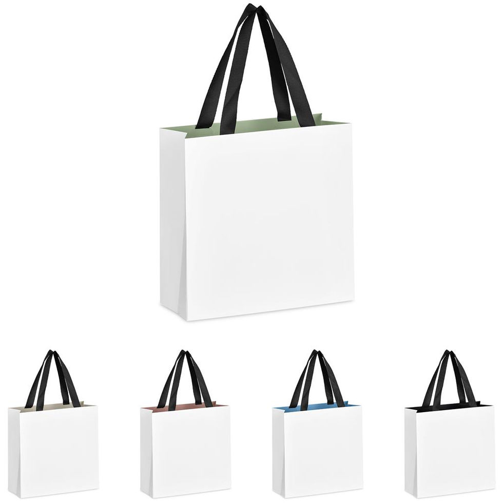 Altitude Galleria Mini Paper Gift Bag Plain
