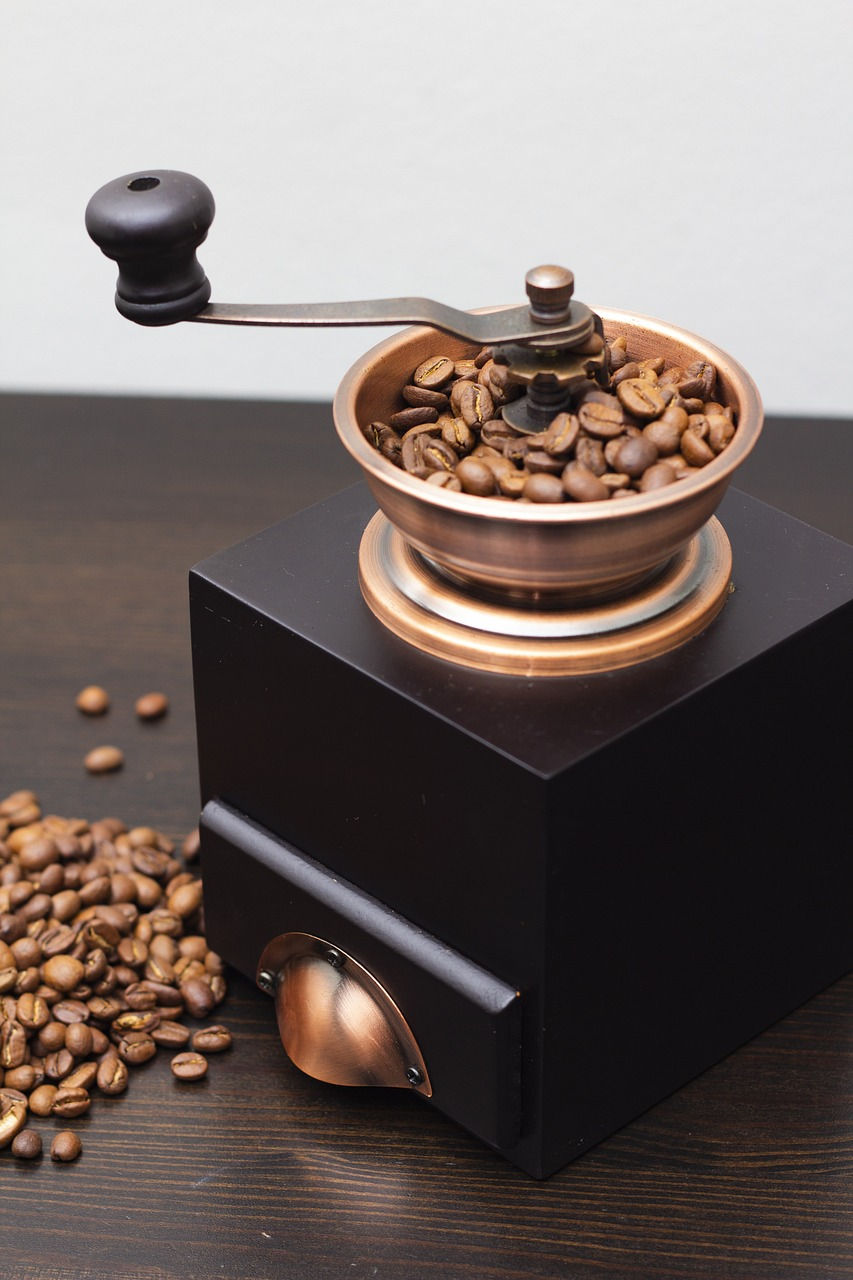 How to Grinder Shrooms without a Grinder Stoner Strategies Mushrooms Magic Mushrooms Shrooms Psilocybin