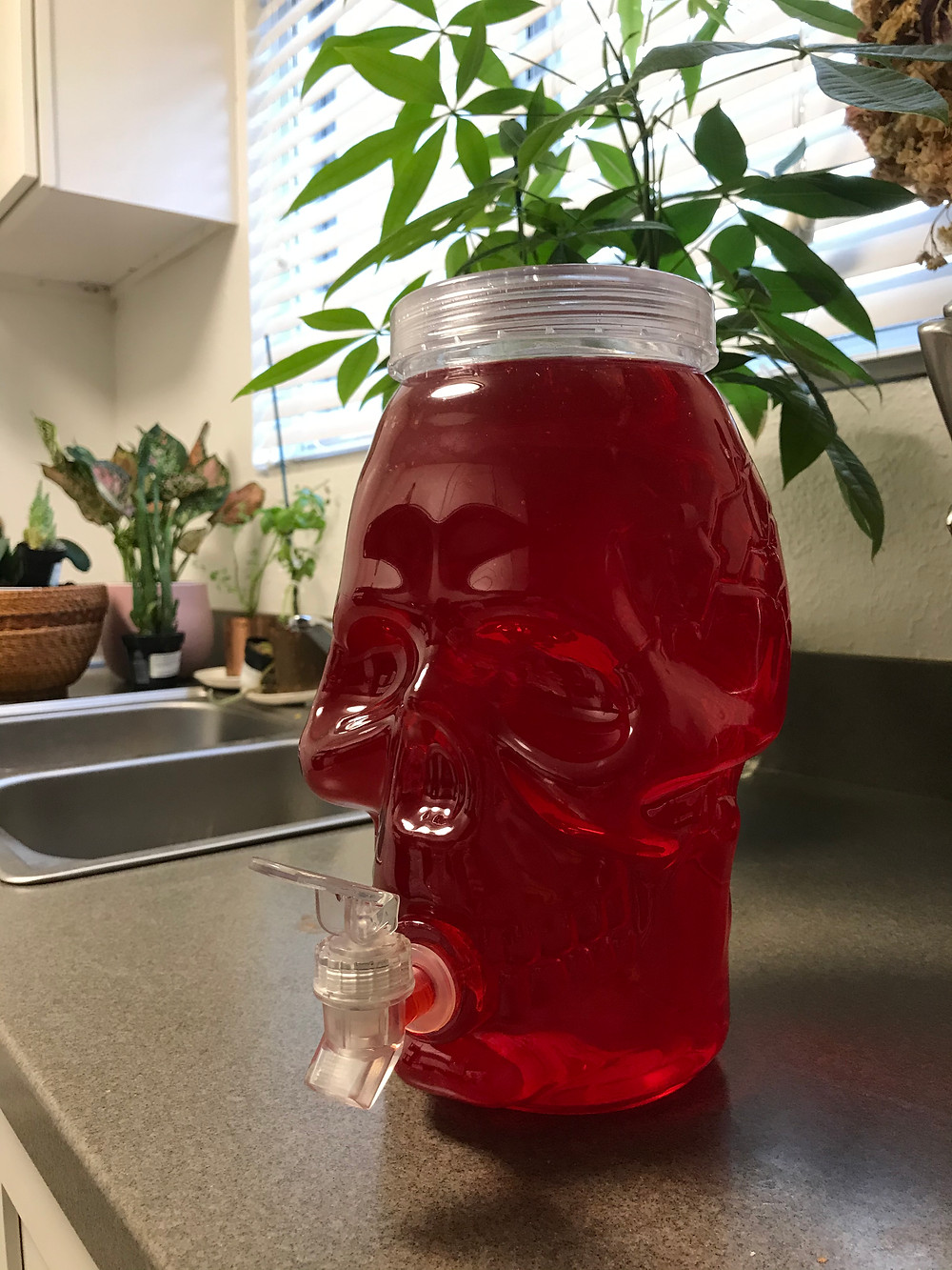 Cannabis Infused Cherry Kool Aid Stoner Strategies