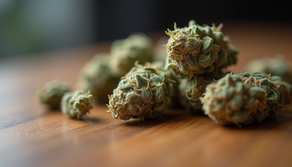 Stoner Strategies Mastering Cannabis Safety Techniques: Your Guide to Effective Harm Reduction
