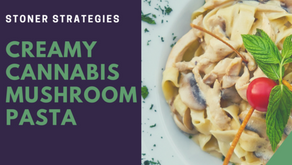 Creamy Cannabis Mushroom Pasta Recipe