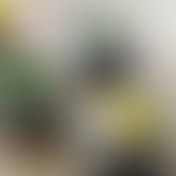 Cannabis Mango Salsa Recipe