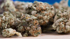 6 Things Everyone Should Know About Edibles