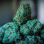 Writer: StonerStrategies