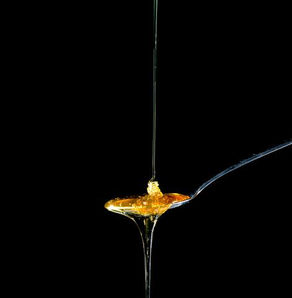Cannabis Honey CannaHoney Edibles Recipe