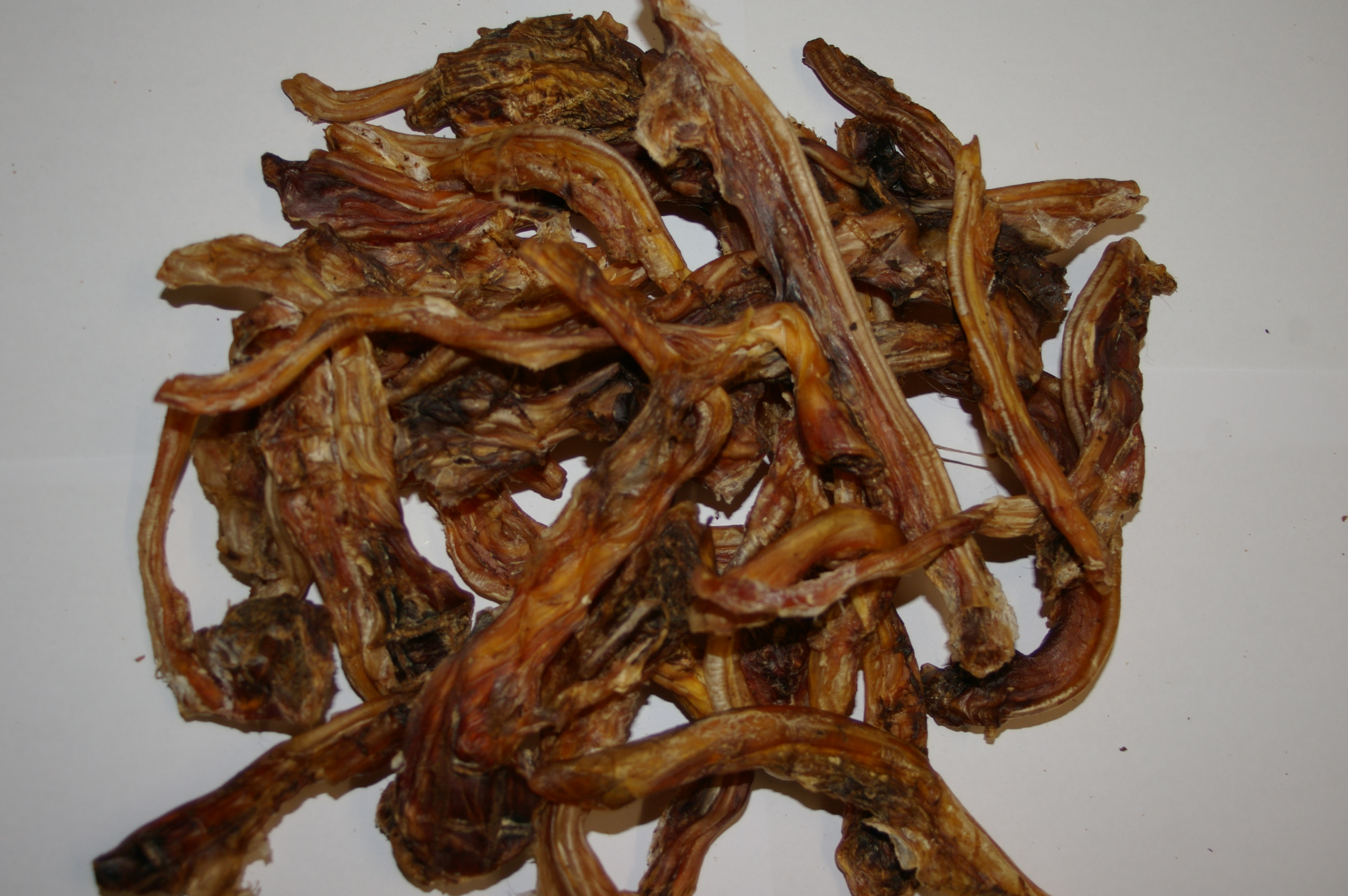 KANGAROO TENDONS DOG TREATS