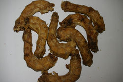 Chicken Neck Dog Treat