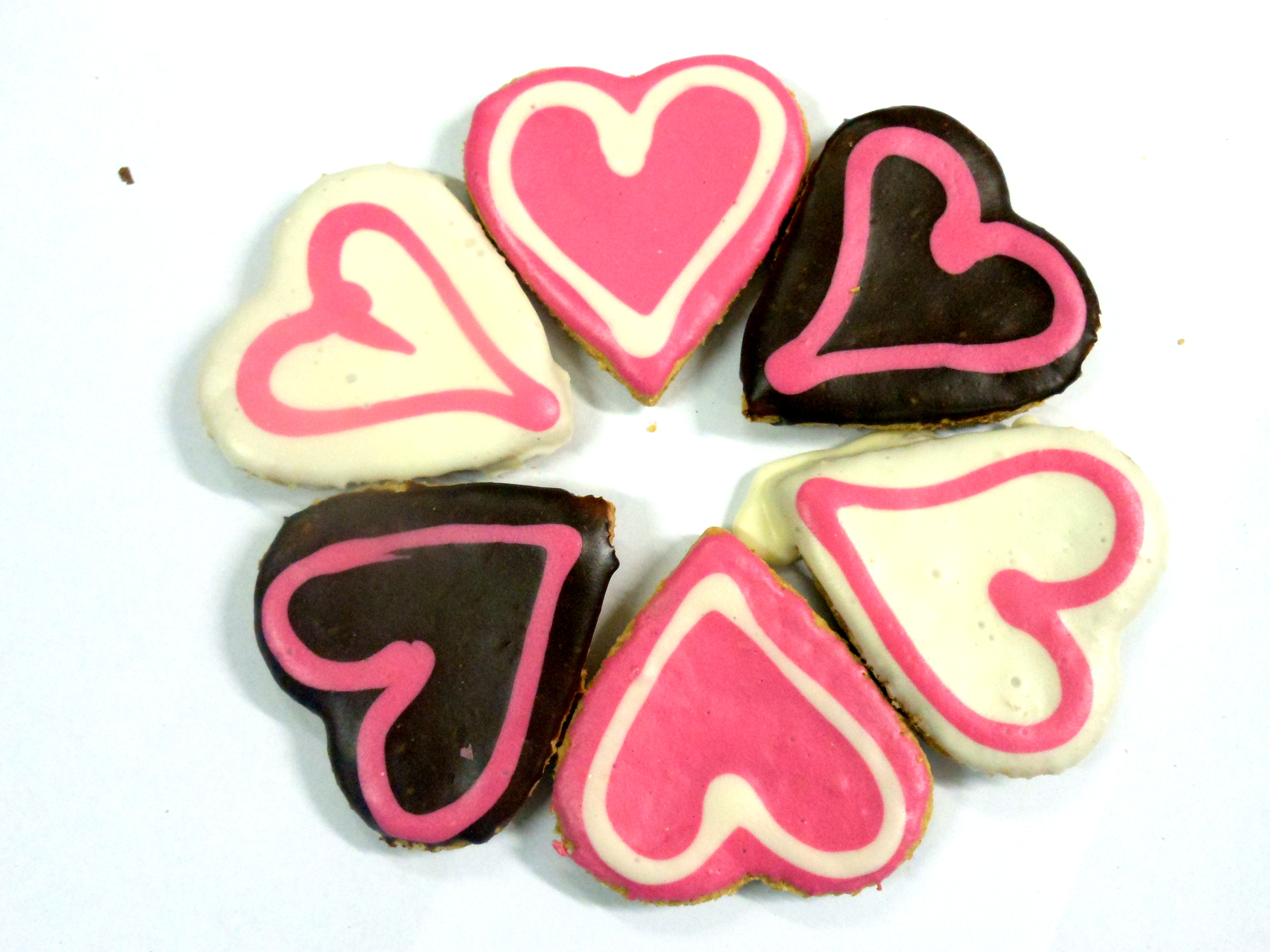 BIG DOGGY LOVE HEART COOKIES