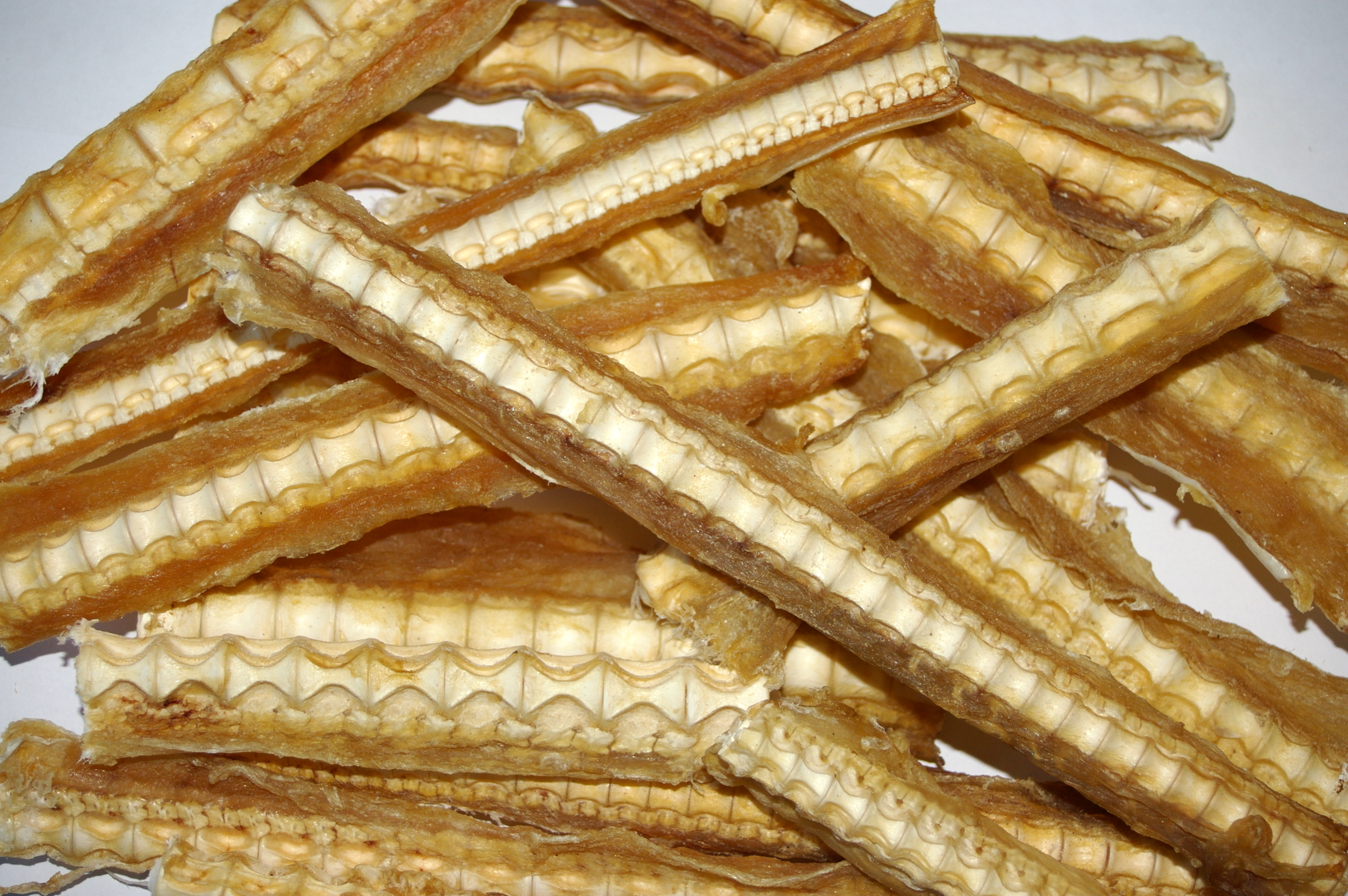 Shark Cartilage Dog Treat