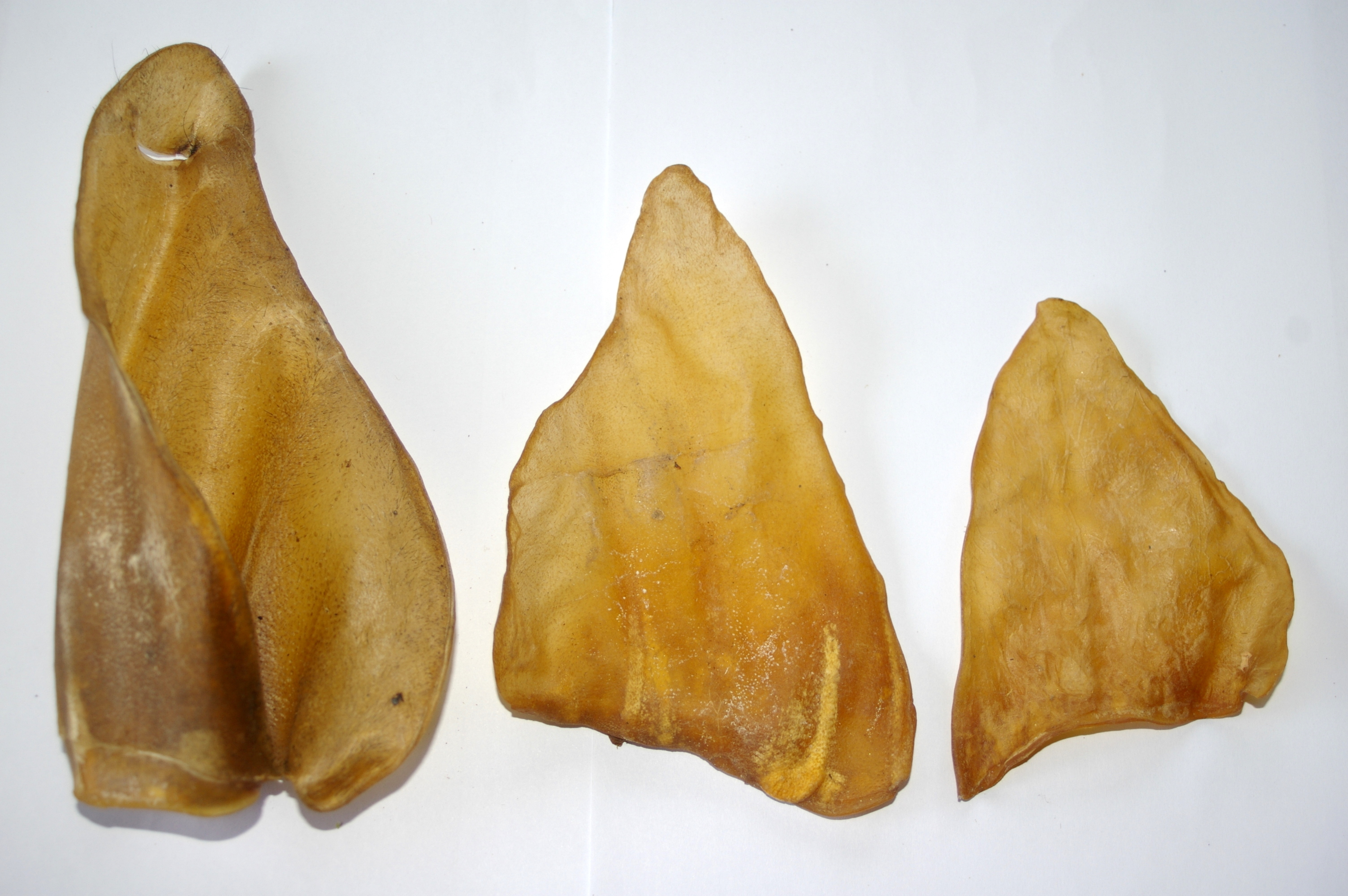 Beef Ears Dog Treat