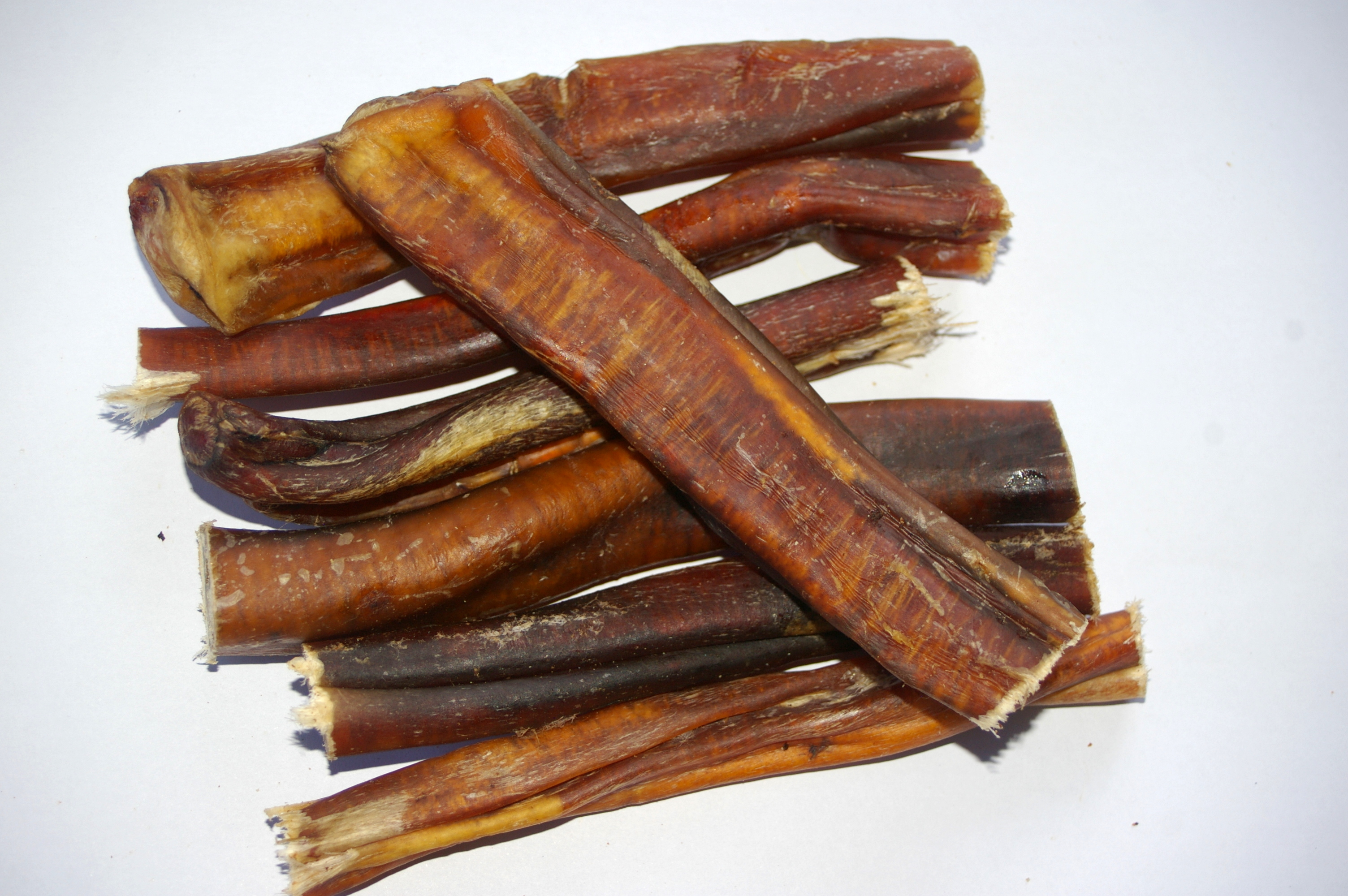 BULL CHEW 15CM Dog Treat Dental Chew