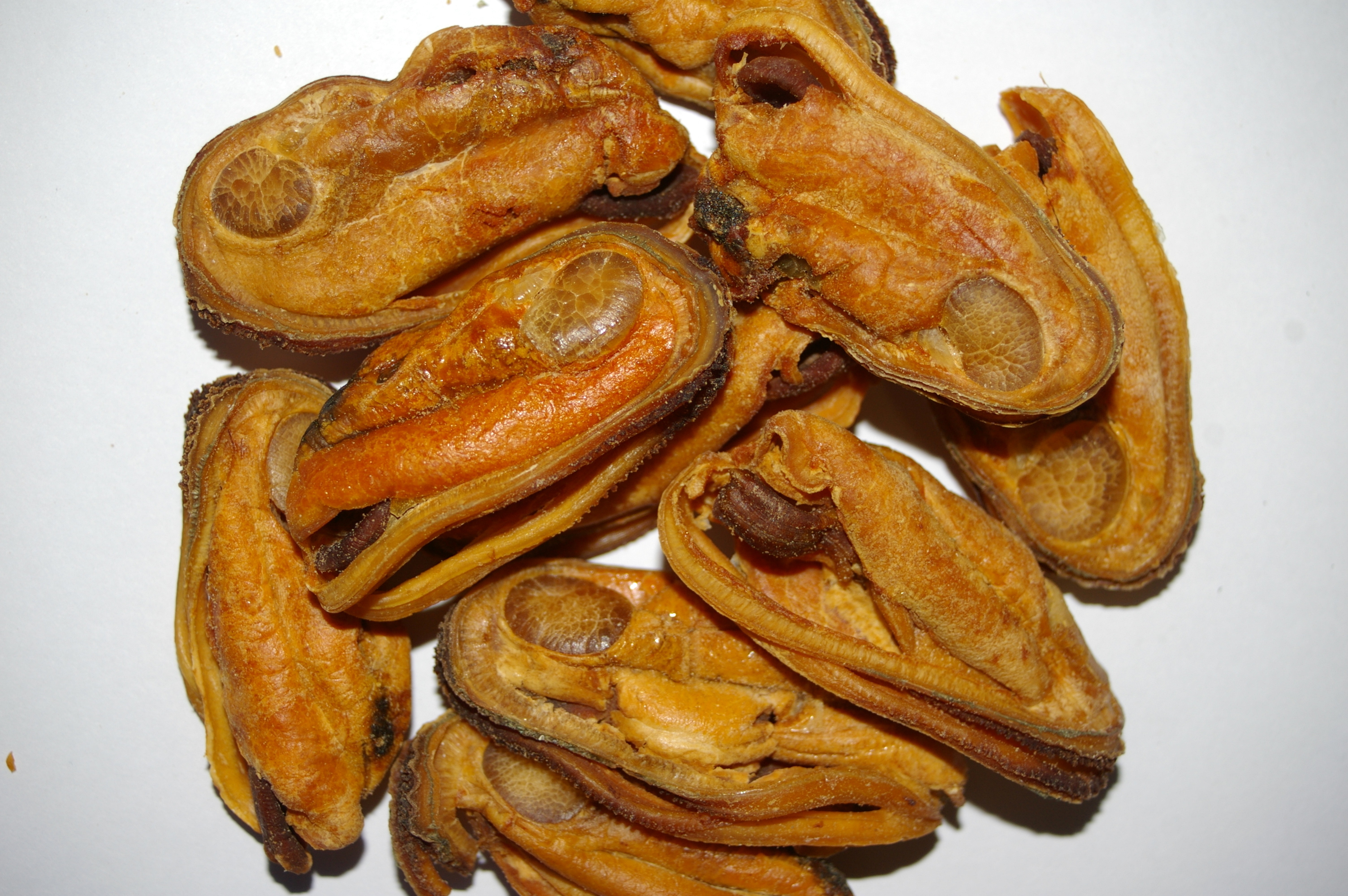 GREEN LIP MUSSELS DOG TREATS