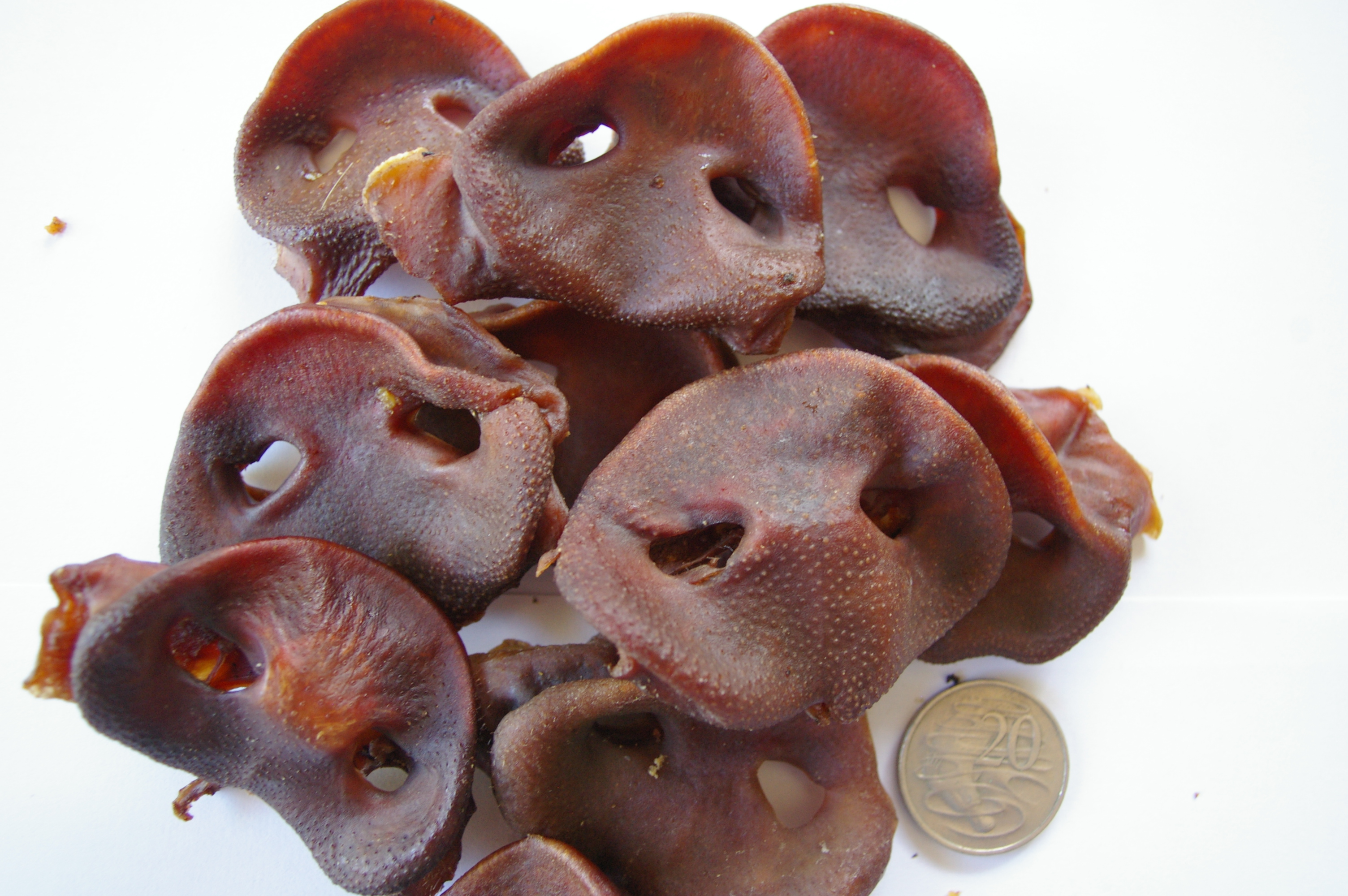 Pork Snouts Dog Treats
