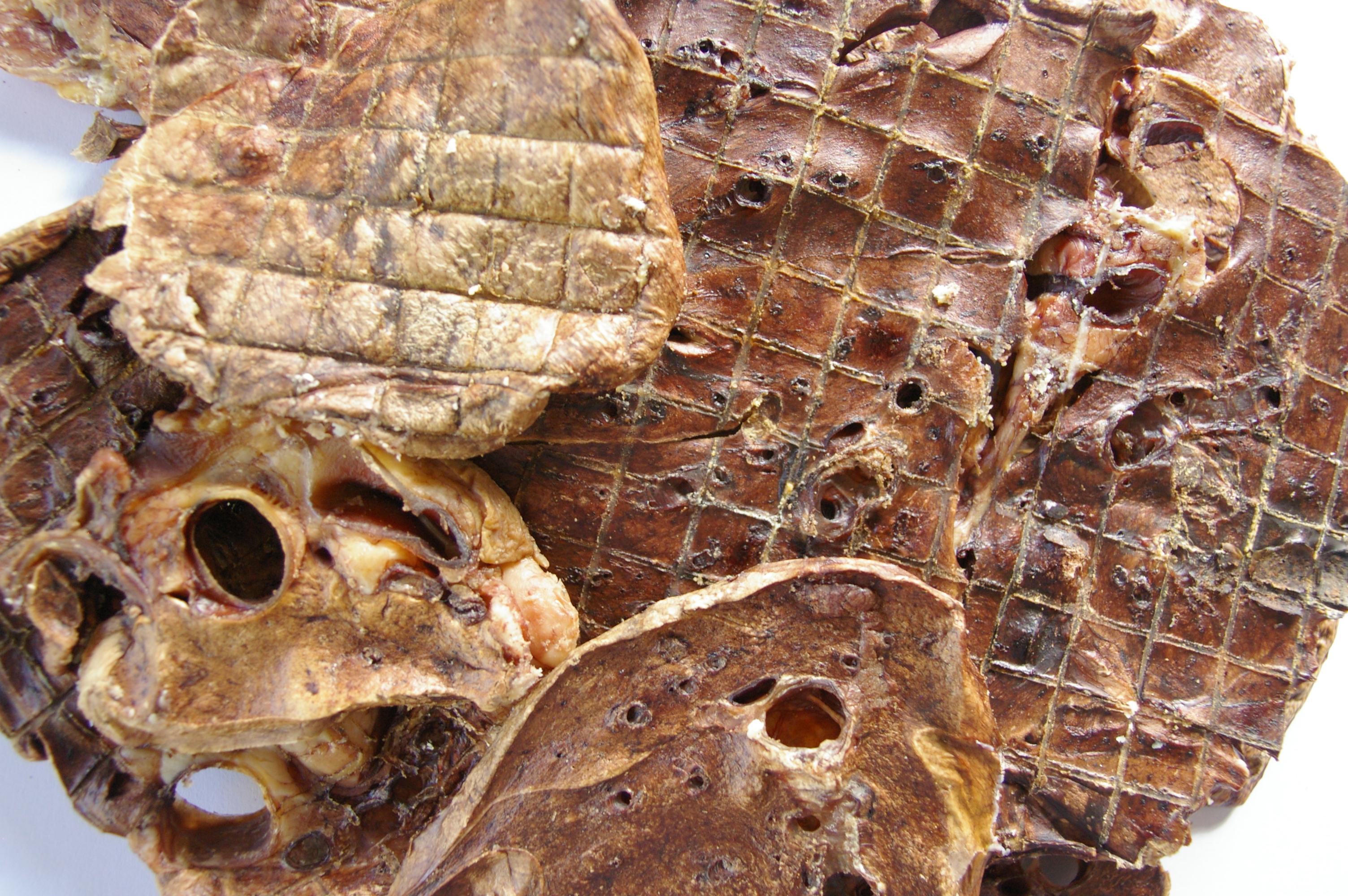 LAMB LUNG DOG TREAT