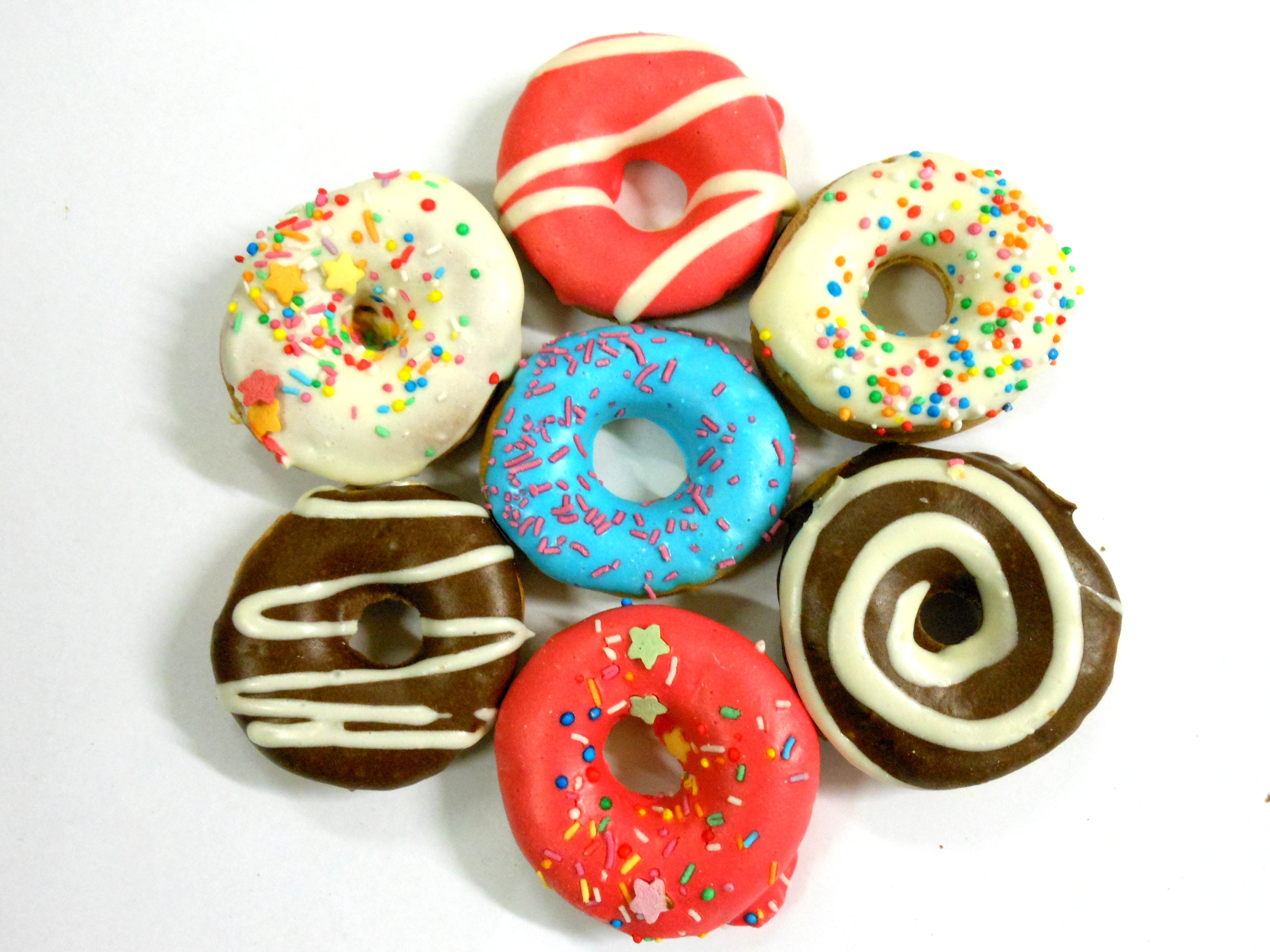 LITTLE DOGGY DONUTS DOG TREATS