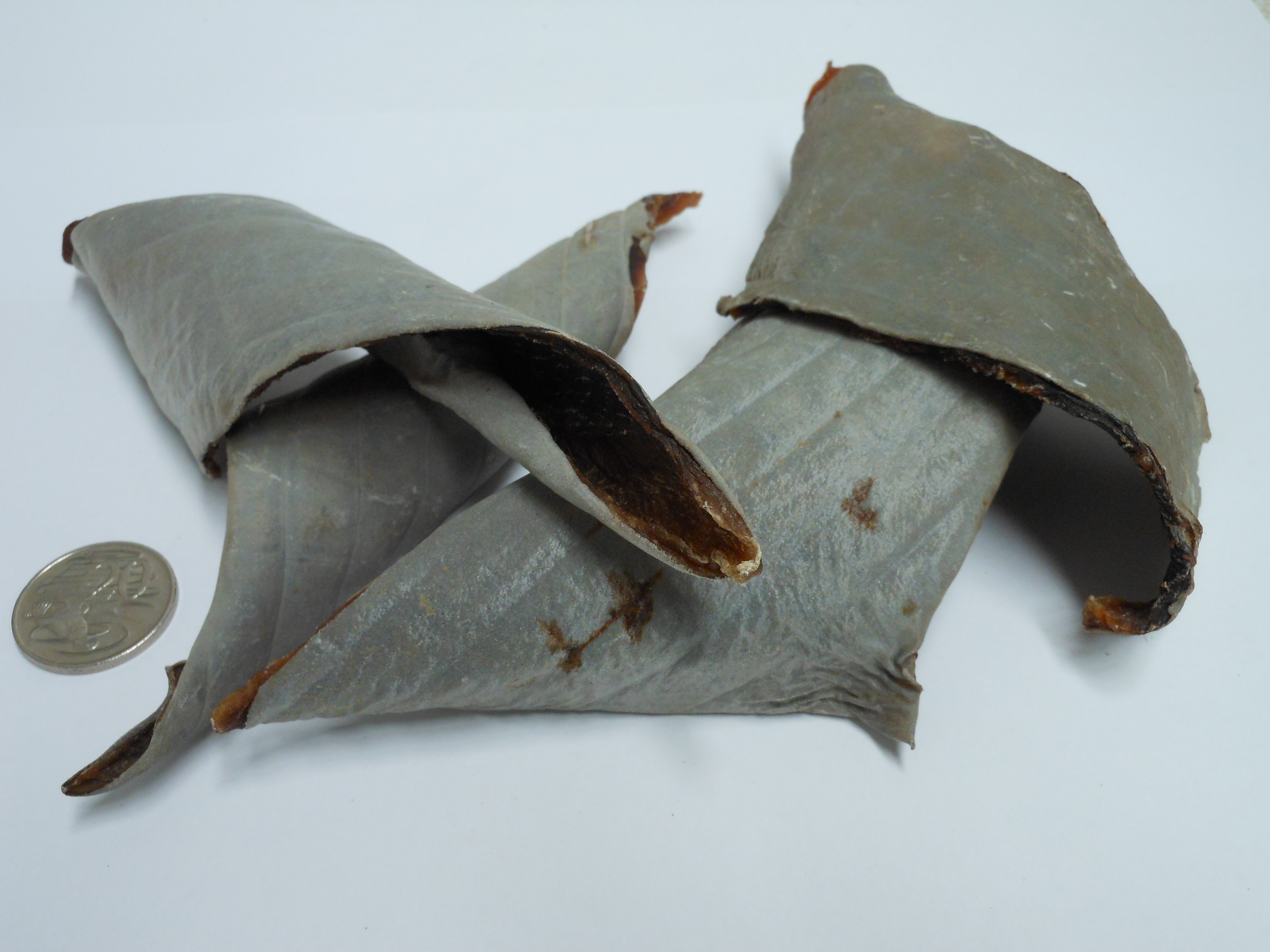 Fish Hide Dog Treat