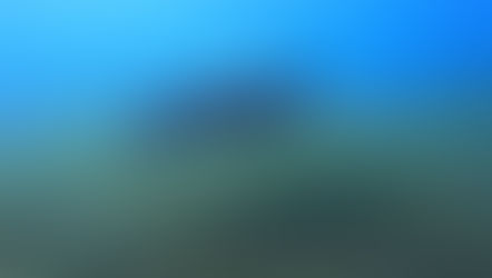 Protecting Paradise: Join the Candidates for Conservation Workshop!