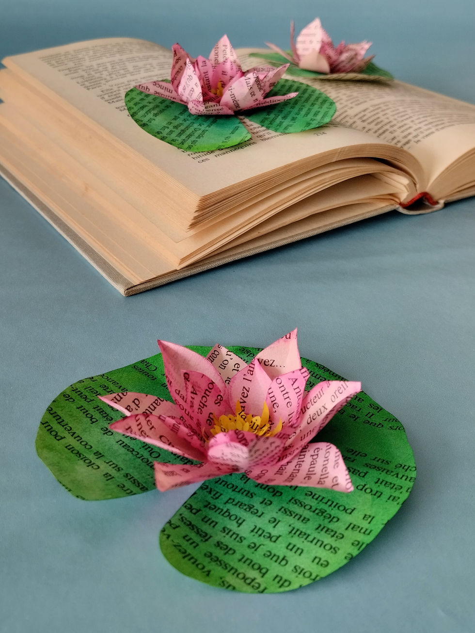 Lotus