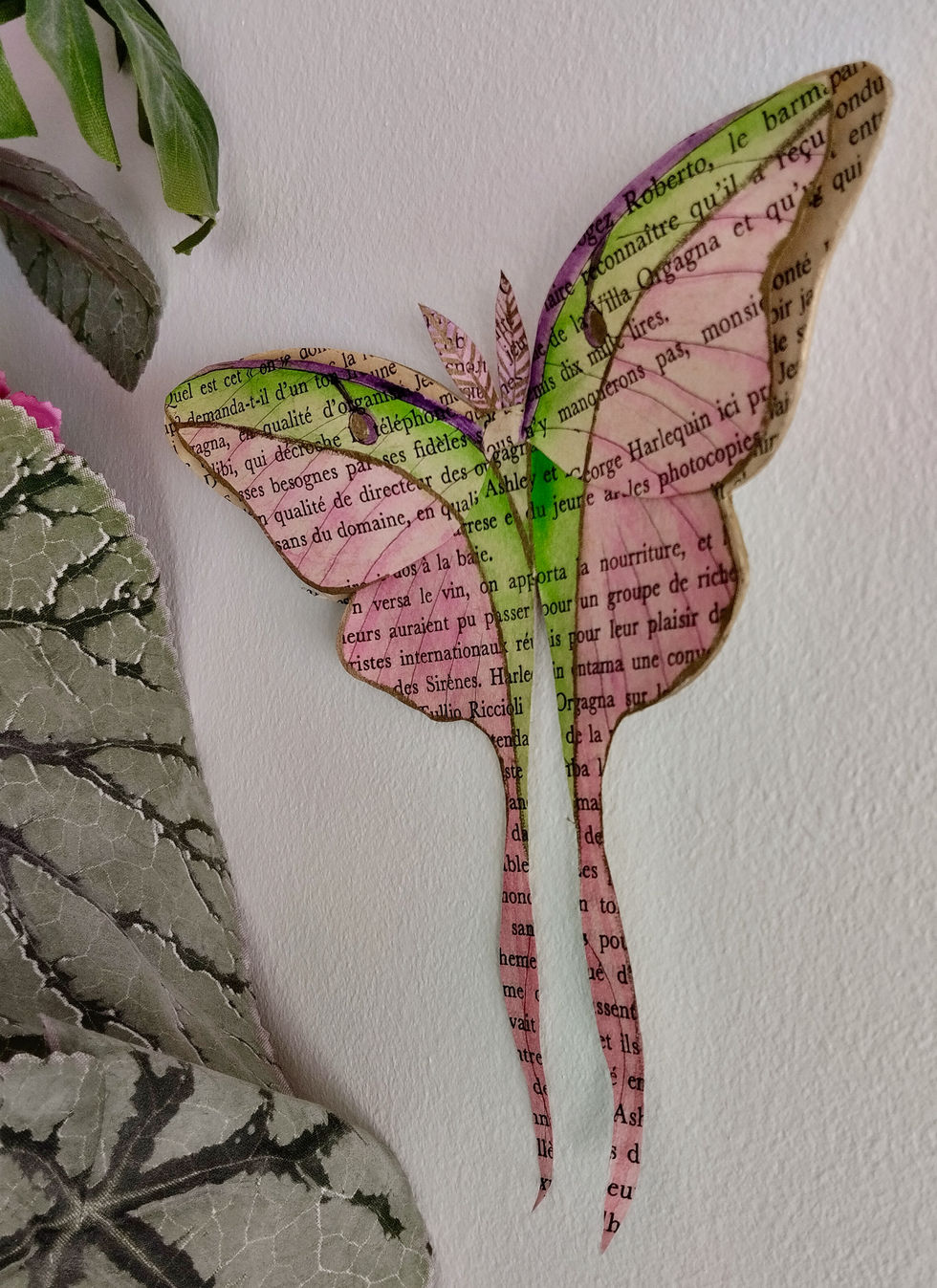 Détail du papillon Lune rose