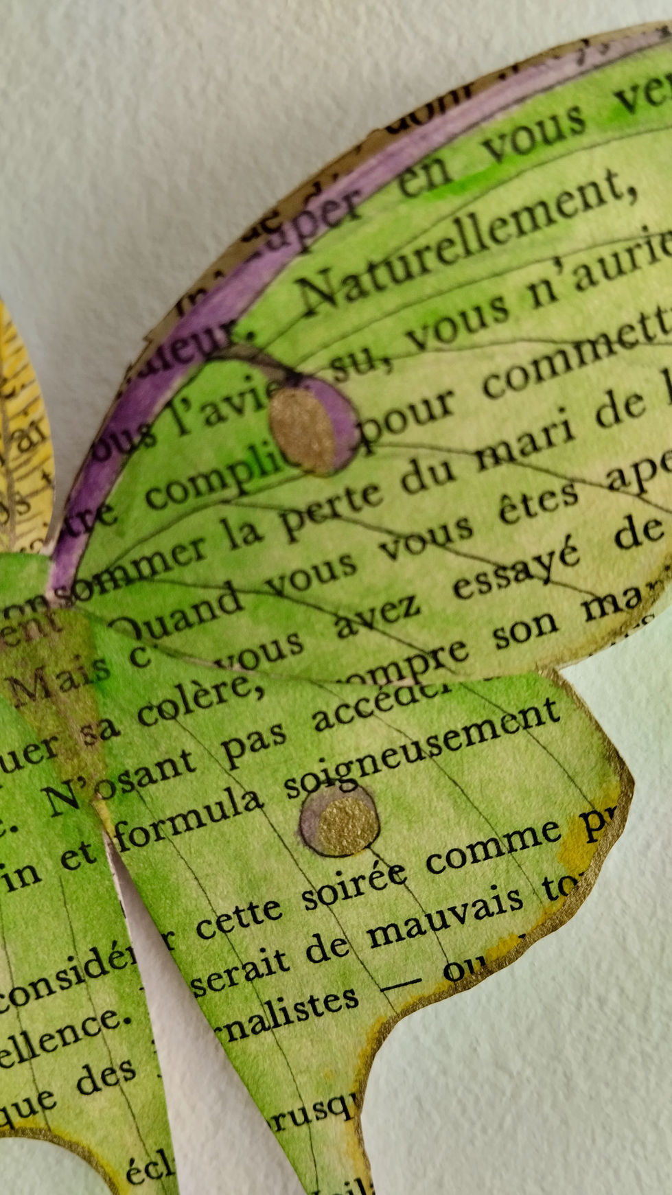 Détail du papillon Lune vert
