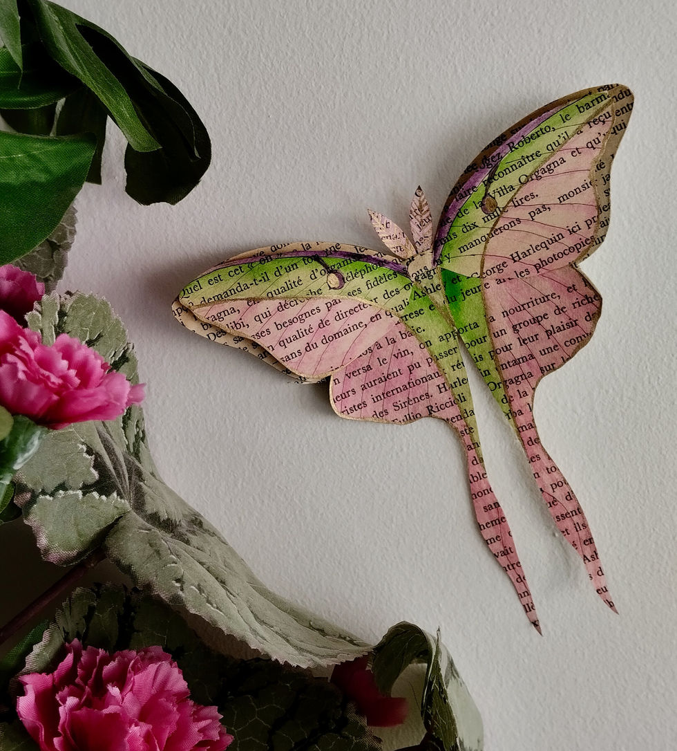 Papillon Lune rose