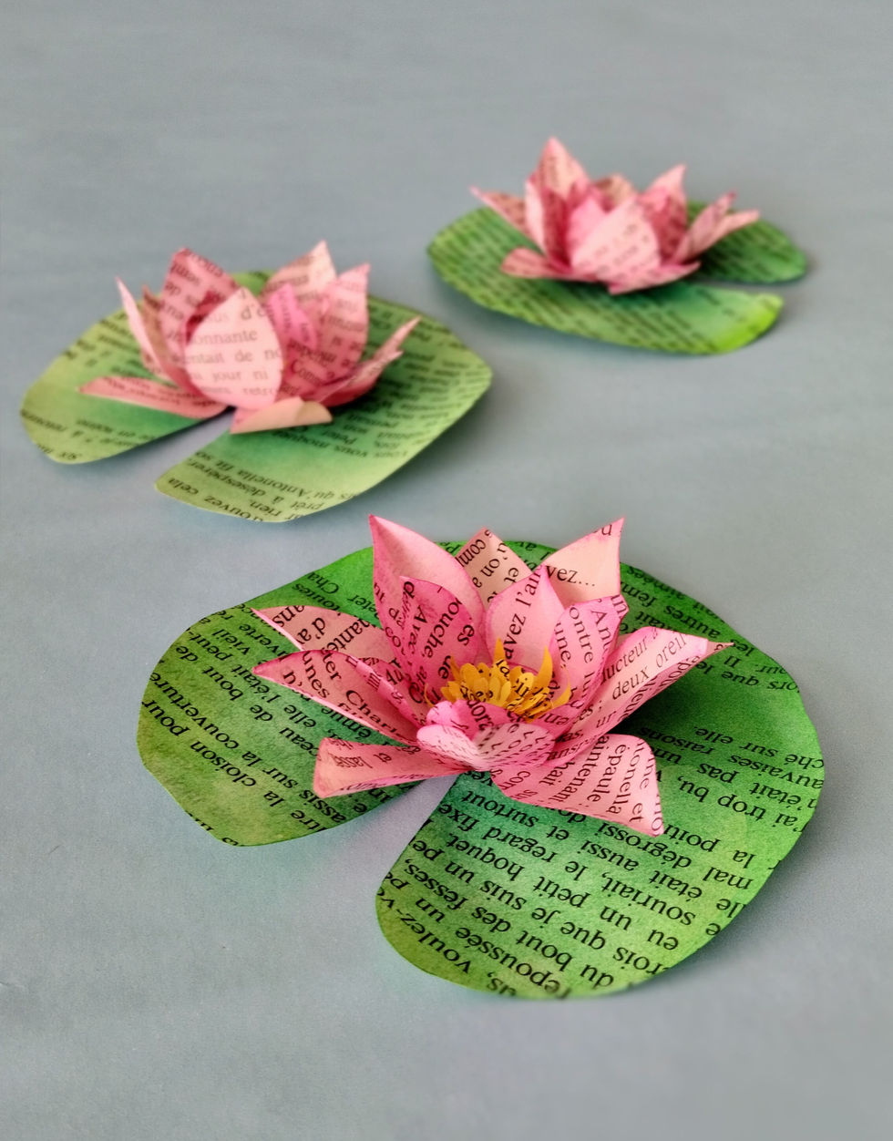 Lotus