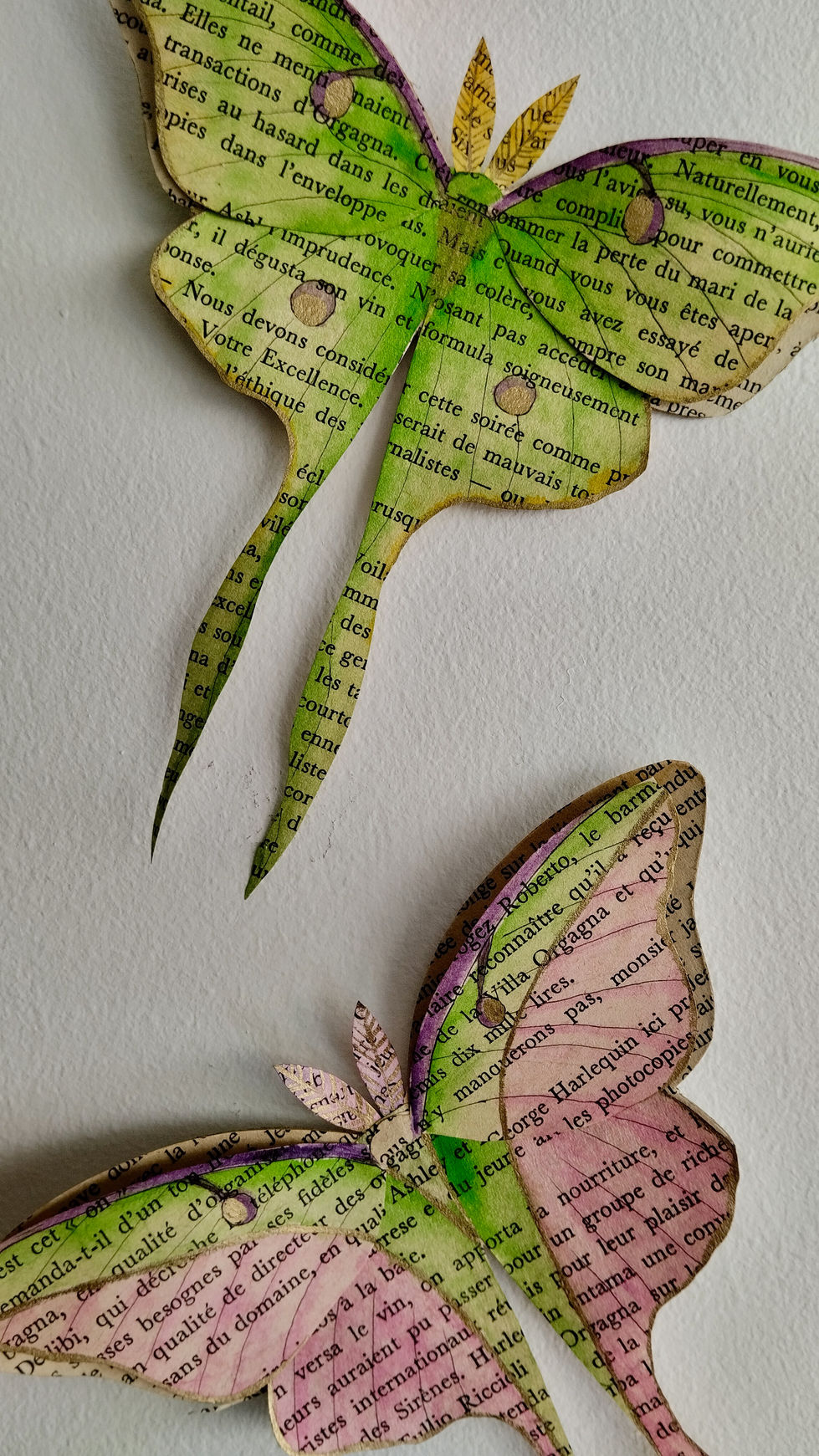 Détail du duo de papillons Lune