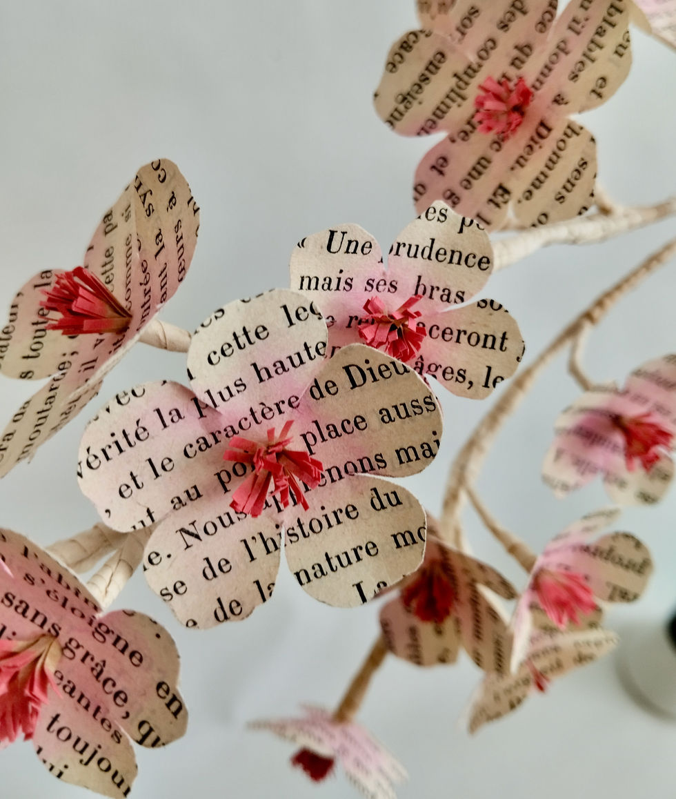 Détail de la branche de cerisier
