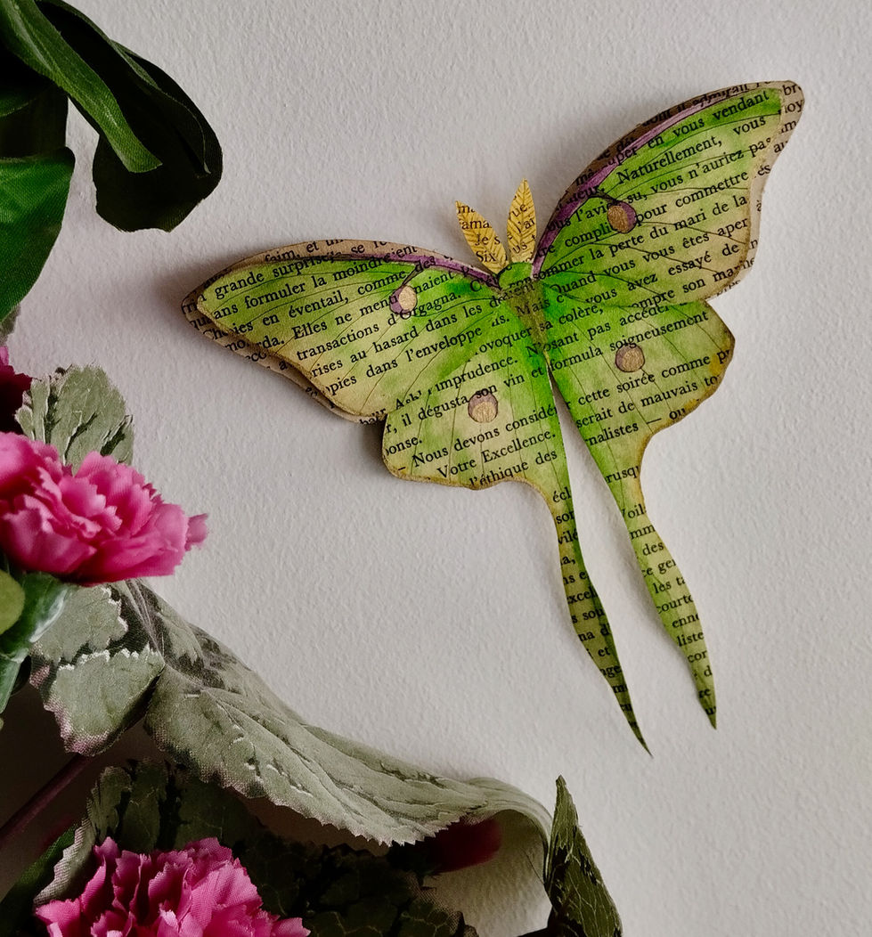 Papillon Lune vert
