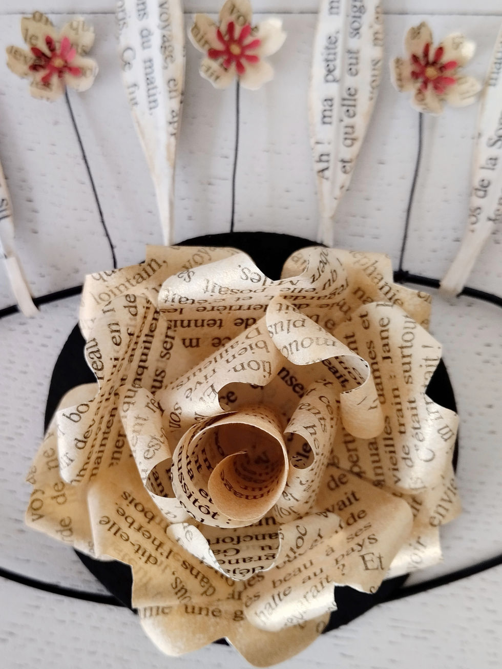 Camelia eye 1