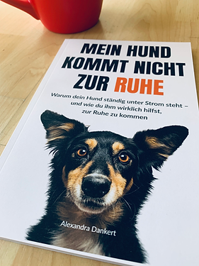 Buch_Mein Hund kommt nicht zur Ruhe.png