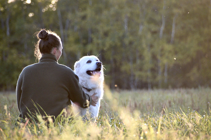 Eine Frau sitzt neben ihrem Hund entspannt auf einer Wiese